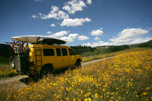 Driving through yellow flower field, Colorado